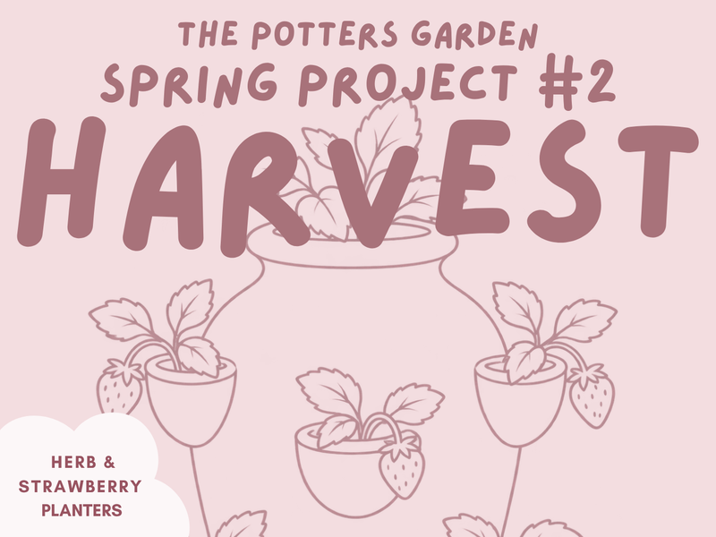 The Potters Garden - Harvest