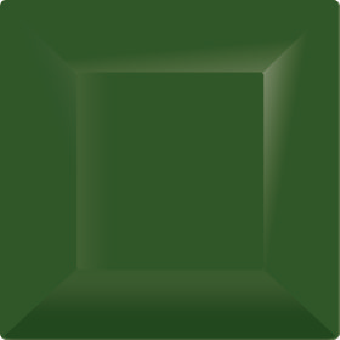 Kiwi Underglaze 100ml Forest Green